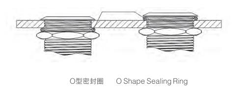 O型密封圈.jpg